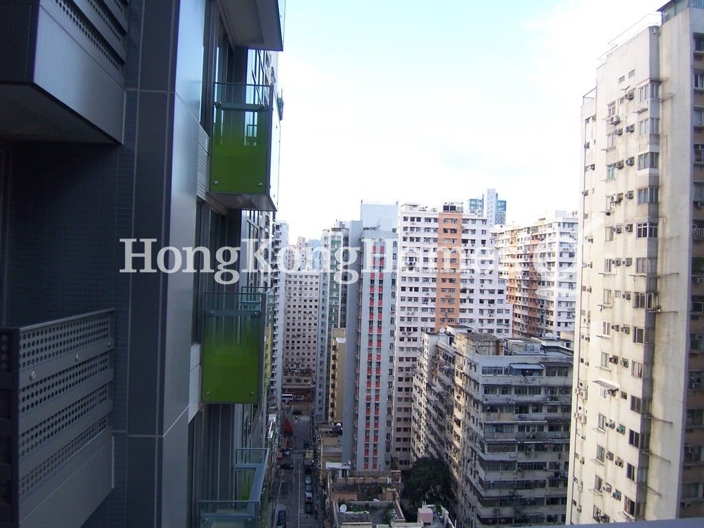 View from Dining Room — Lime Habitat, North Point