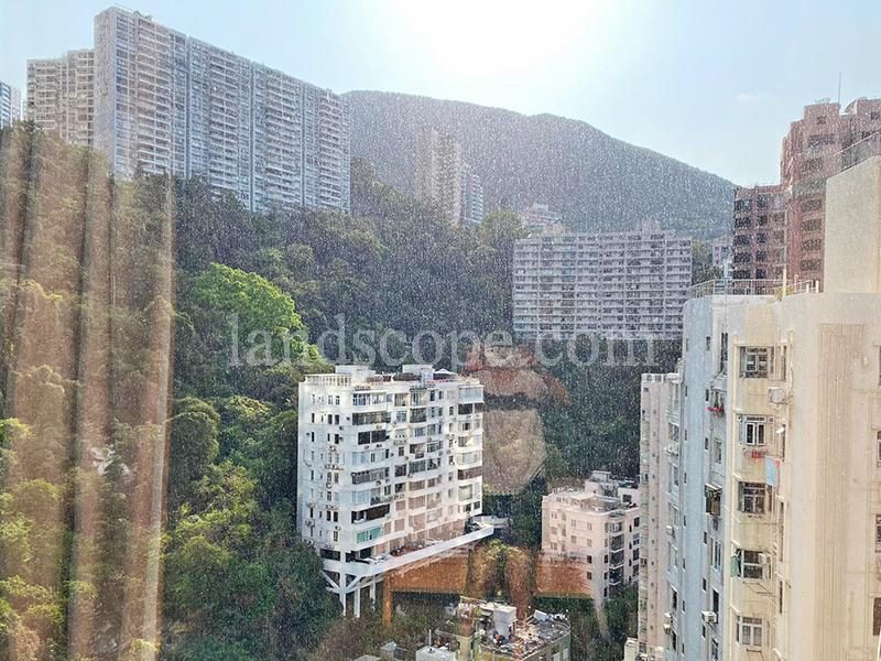 photo 2 — The Altitude, Happy Valley