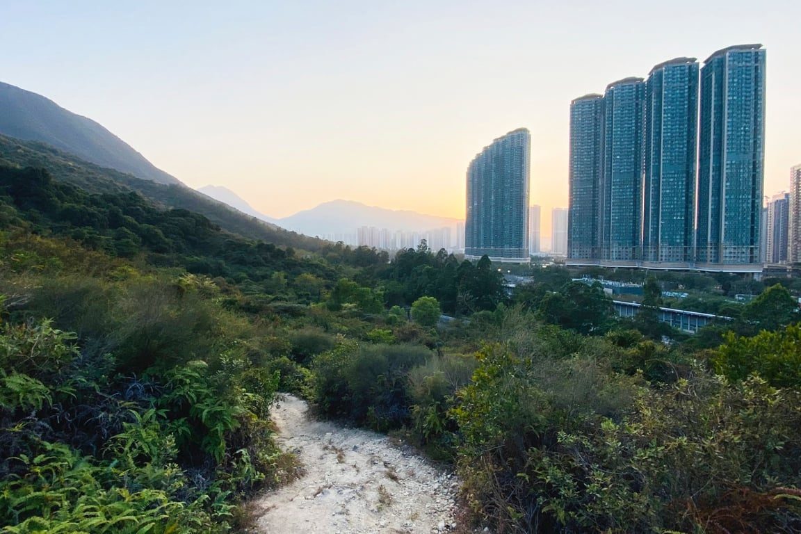 photo 2 — Coastal Skyline Phase 1, Tung Chung