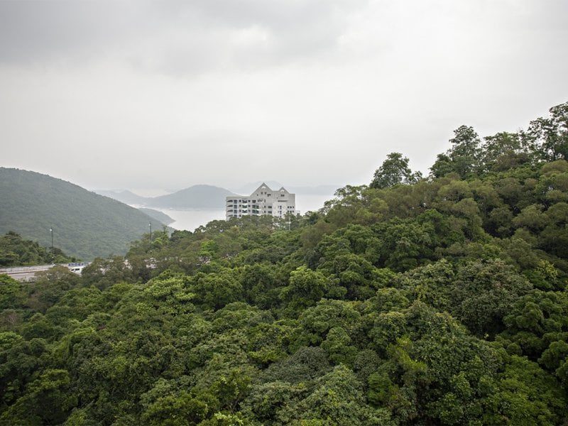 photo 2 — Mount Pavilia Twr 3, Clear Water Bay