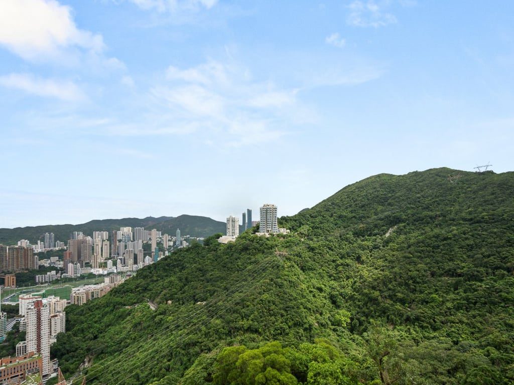 photo 3 — Infinity, The Peak