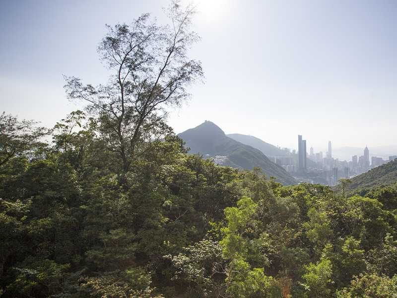 photo 11 — Hong Kong Parkview Twr 14, Repulse Bay