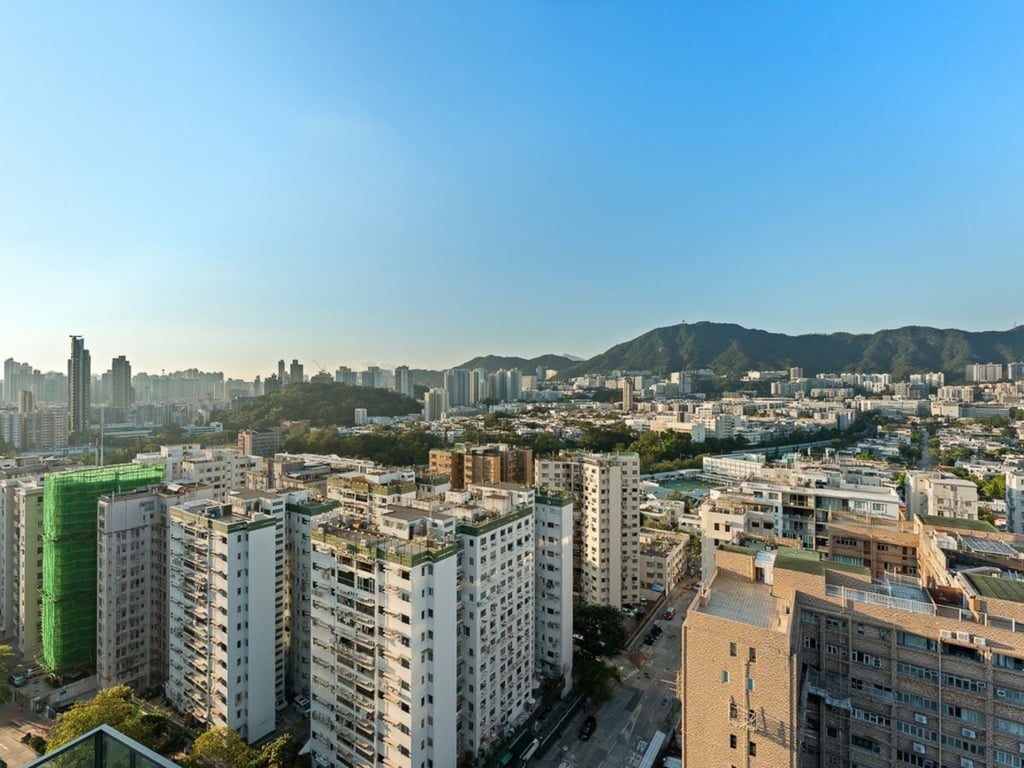 photo 16 — 233 Prince Edward Road West, Ho Man Tin