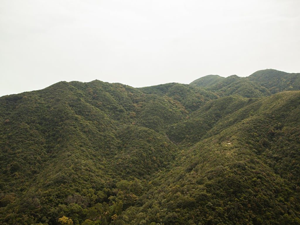 photo 4 — Hong Kong Parkview Twr 7, Repulse Bay