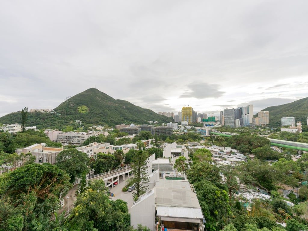 photo 9 — Shouson Peak, Shouson Hill