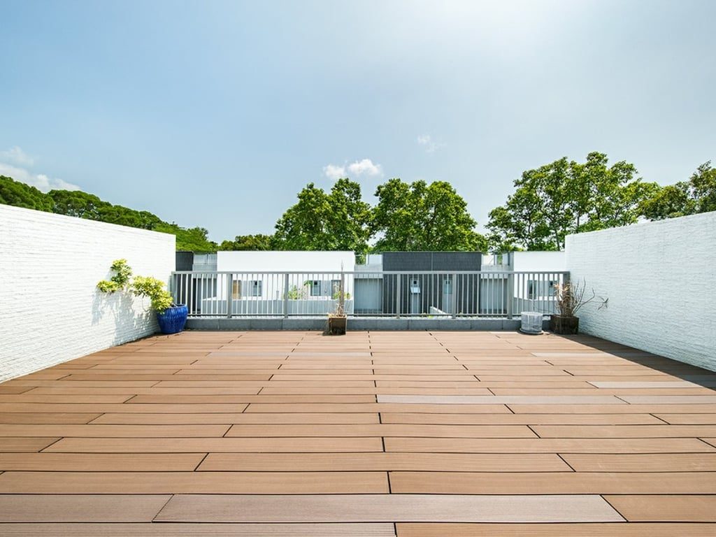 photo 3 — Michelia, Lantau Island