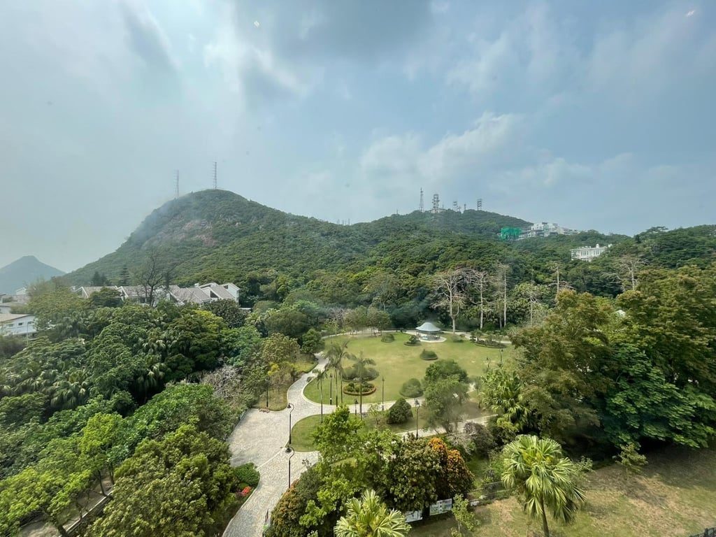 photo 18 — The Mount Austin, The Peak